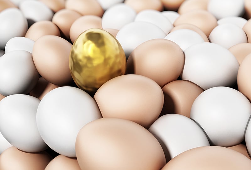 How To Stand Out From The Competition